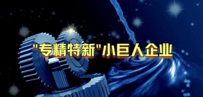 新浦京澳官网游戏荣获国家级专精特新“小巨人”企业称号